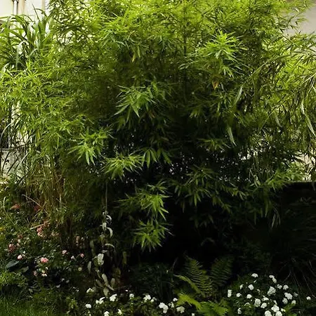 Family Lorenz&coffee House Gasthof